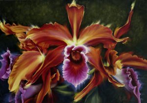 красно-оранжевые орхидеи картина