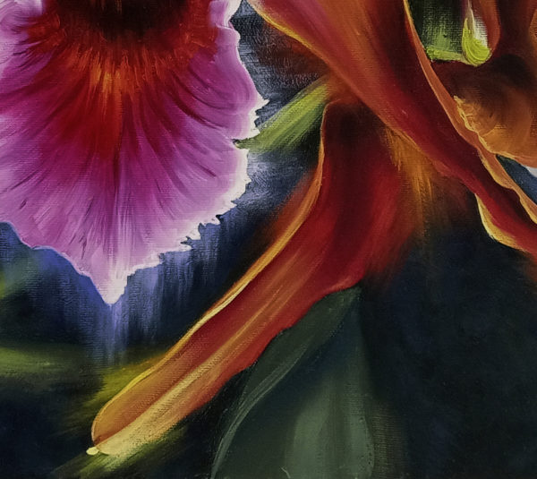 оранжево-розовые орхидеи картина