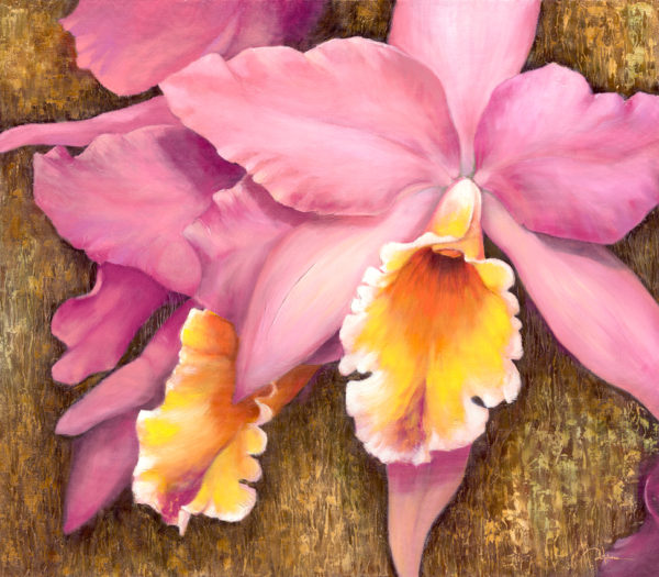 розовые орхидеи, большие розовые цветы, живопись цветыцветы
